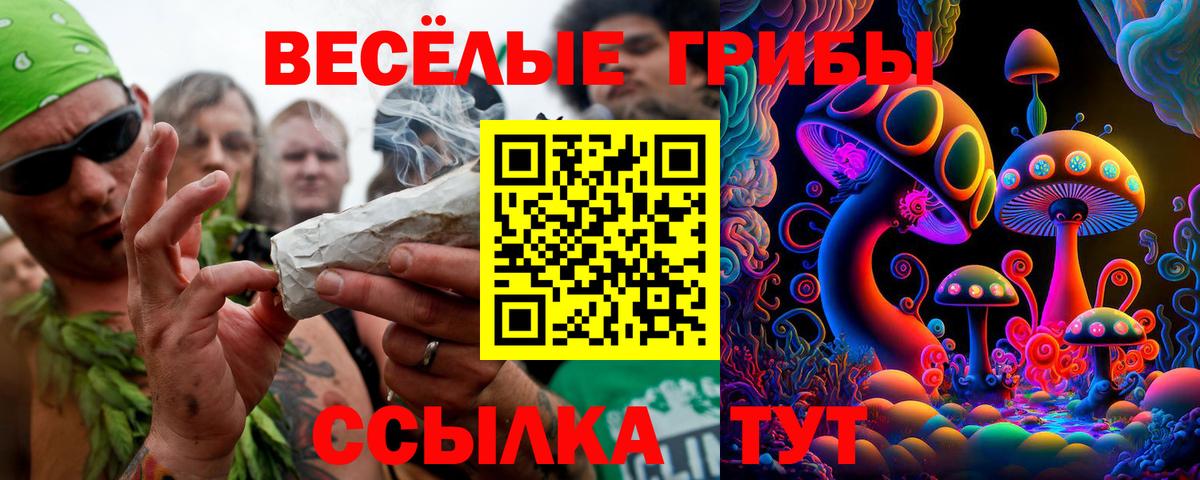 Галлюциногенные грибы Magic Shrooms  Вход с VPN  Галлюциногенные грибы мицелий  Шебекино 